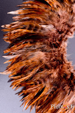 Frange coq chin roux - long. plumes 10-15 cm - chocolat